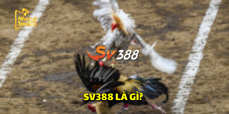 Giới Thiệu SV388