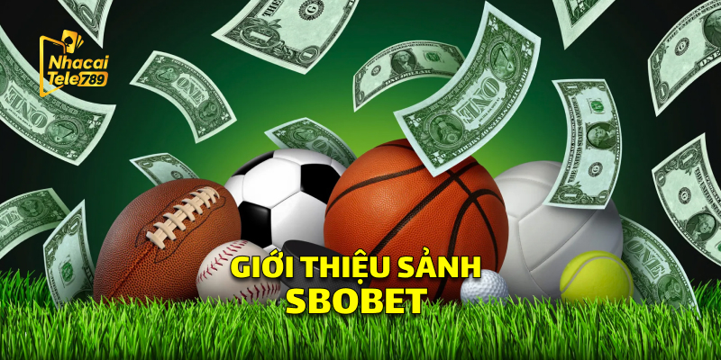 Giới Thiệu Sảnh SBOBET 
