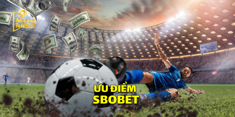 Ưu Điểm Nổi Trội Của Danh Mục Thể Thao SBOBET