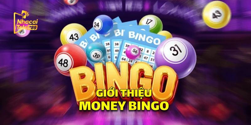 Giới Thiệu Money Bingo
